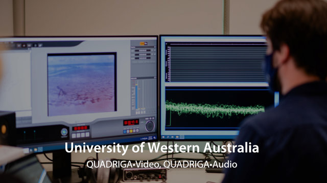 QUADRIGA•Video im Digitisation Centre of Western Australia - ein Interview
