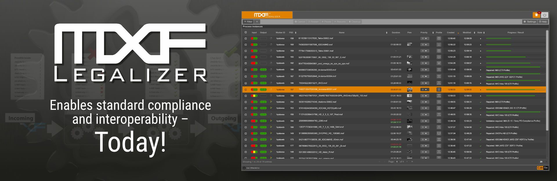 MXF&bull;Legalizer Banner